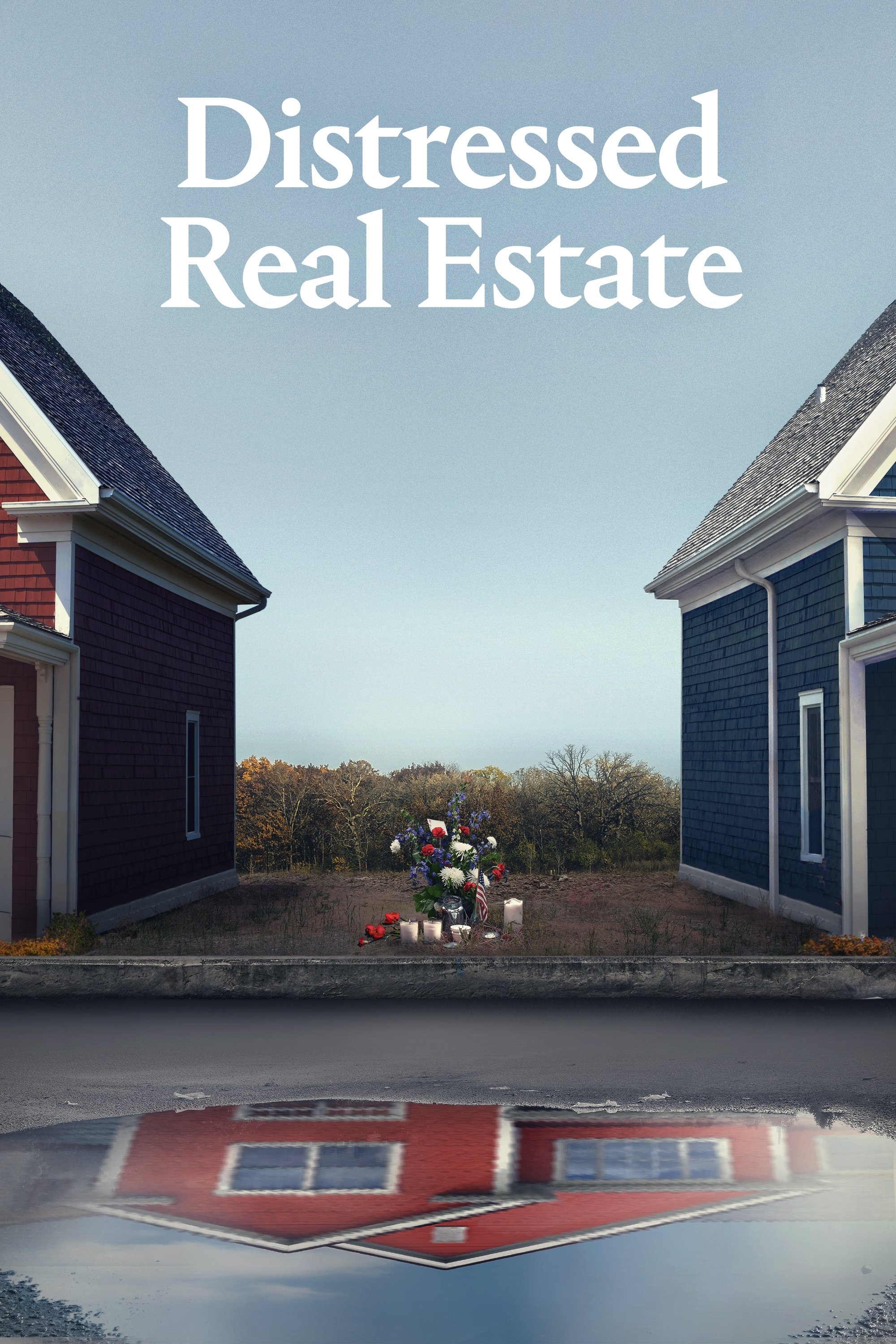 Poster de Distressed Real Estate