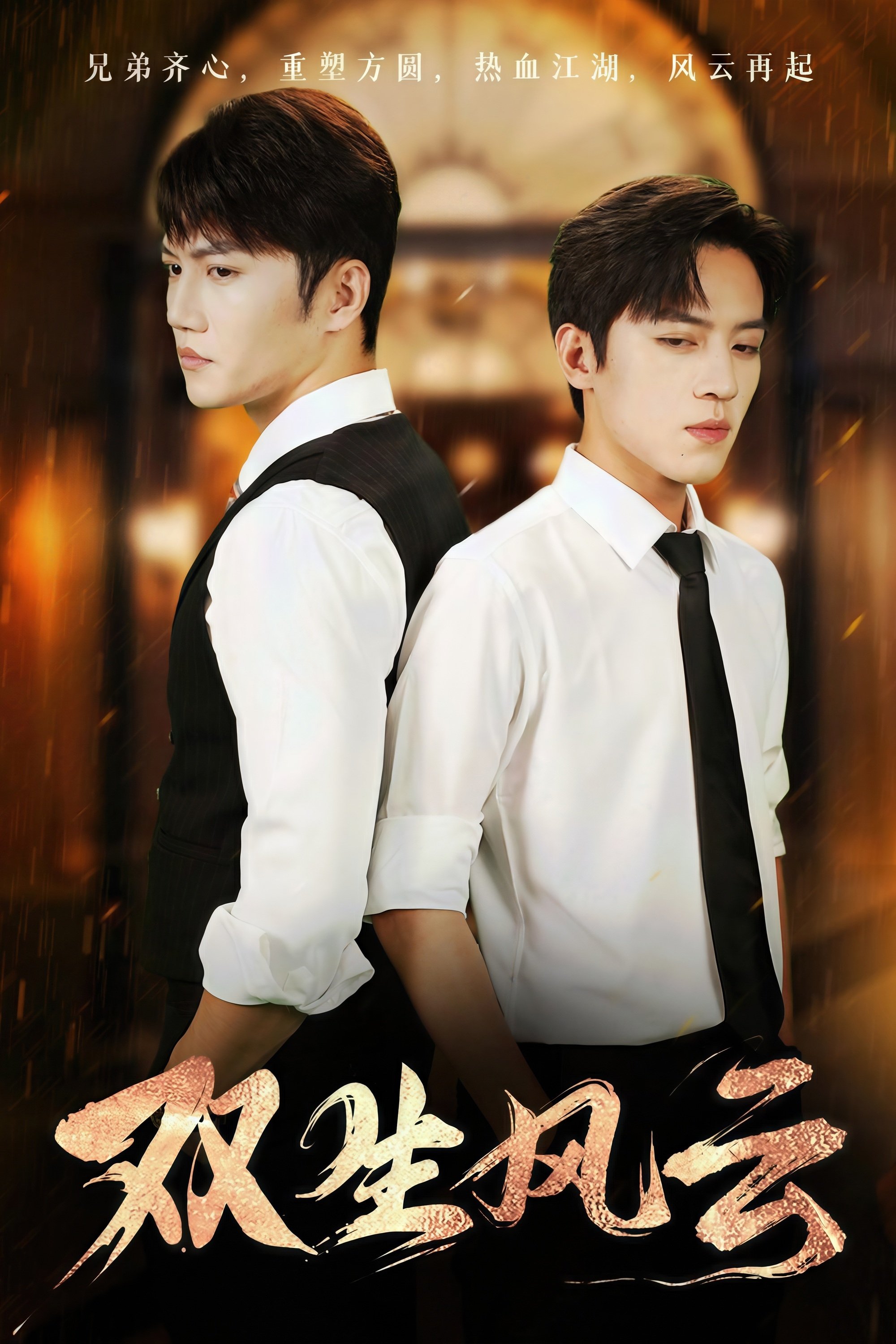 Poster de 双生风云