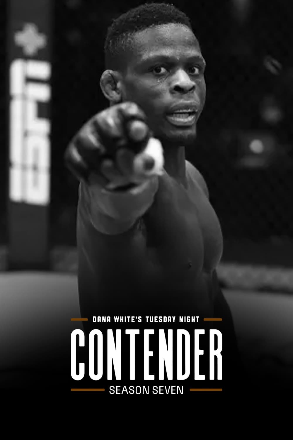 Poster de Temporada 7