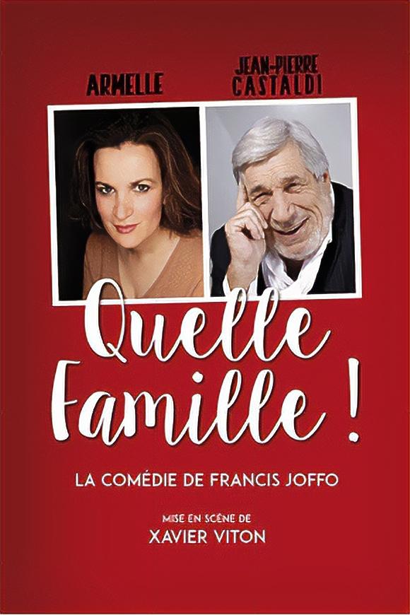 Affiche du film Quelle famille !