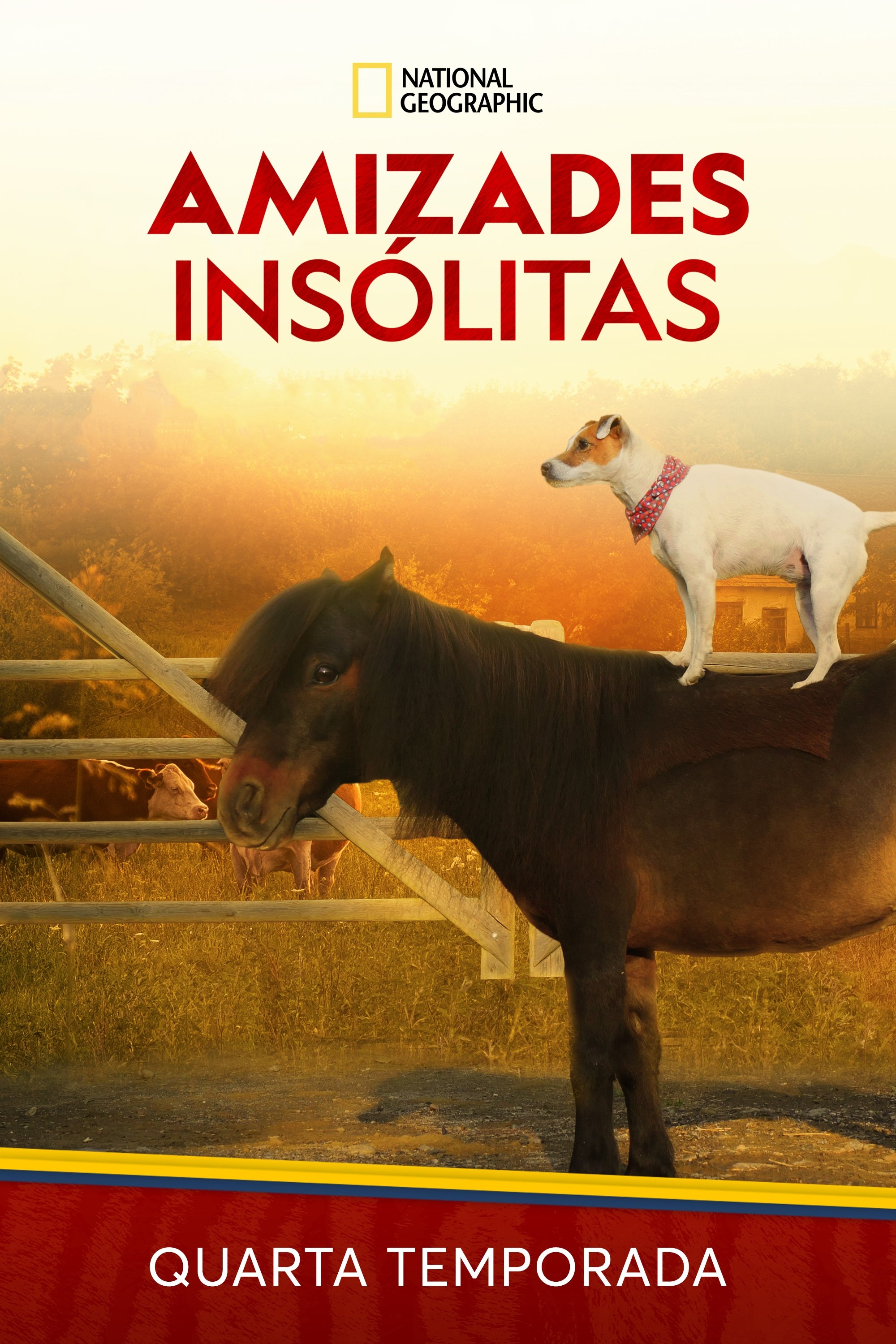 Poster de Temporada 4