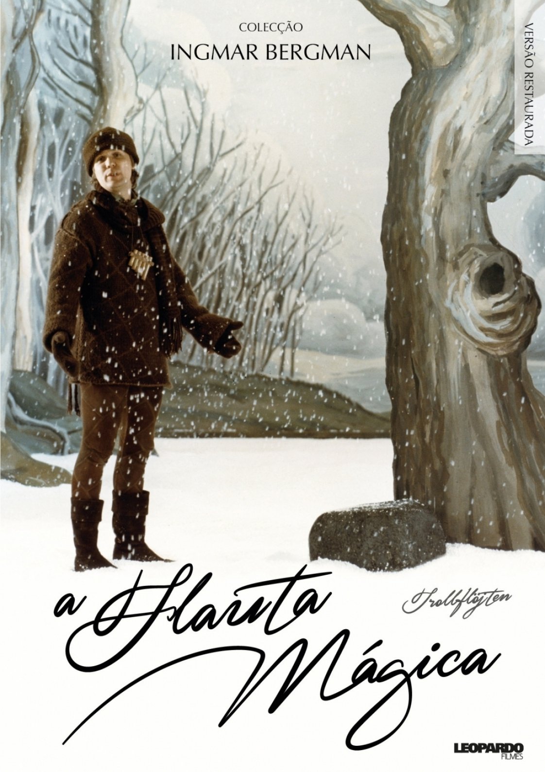 Poster de A Flauta Mágica