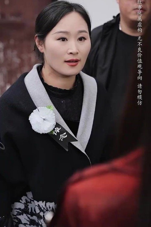 Poster de 养母的秘密