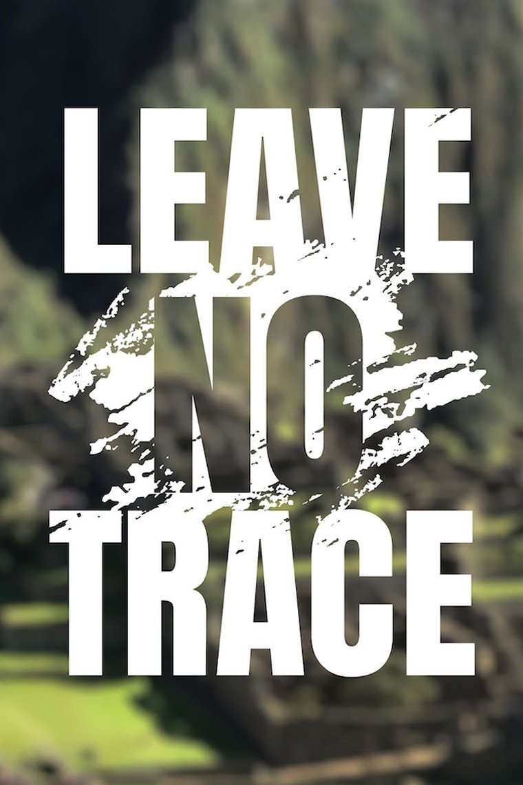 Poster de Leave No Trace
