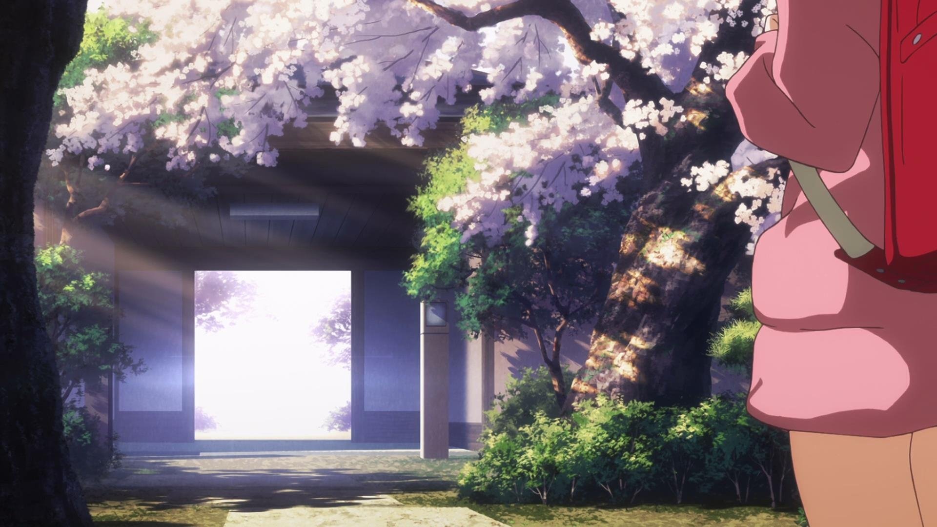 Backdrop image