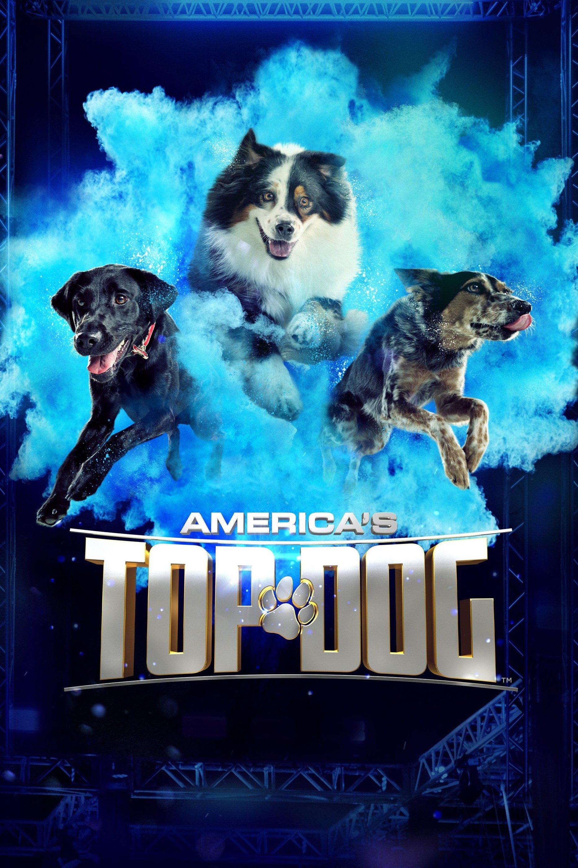 Poster de Os Melhores Cães Policiais