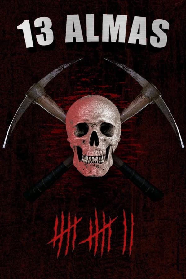 Poster de 13 Almas