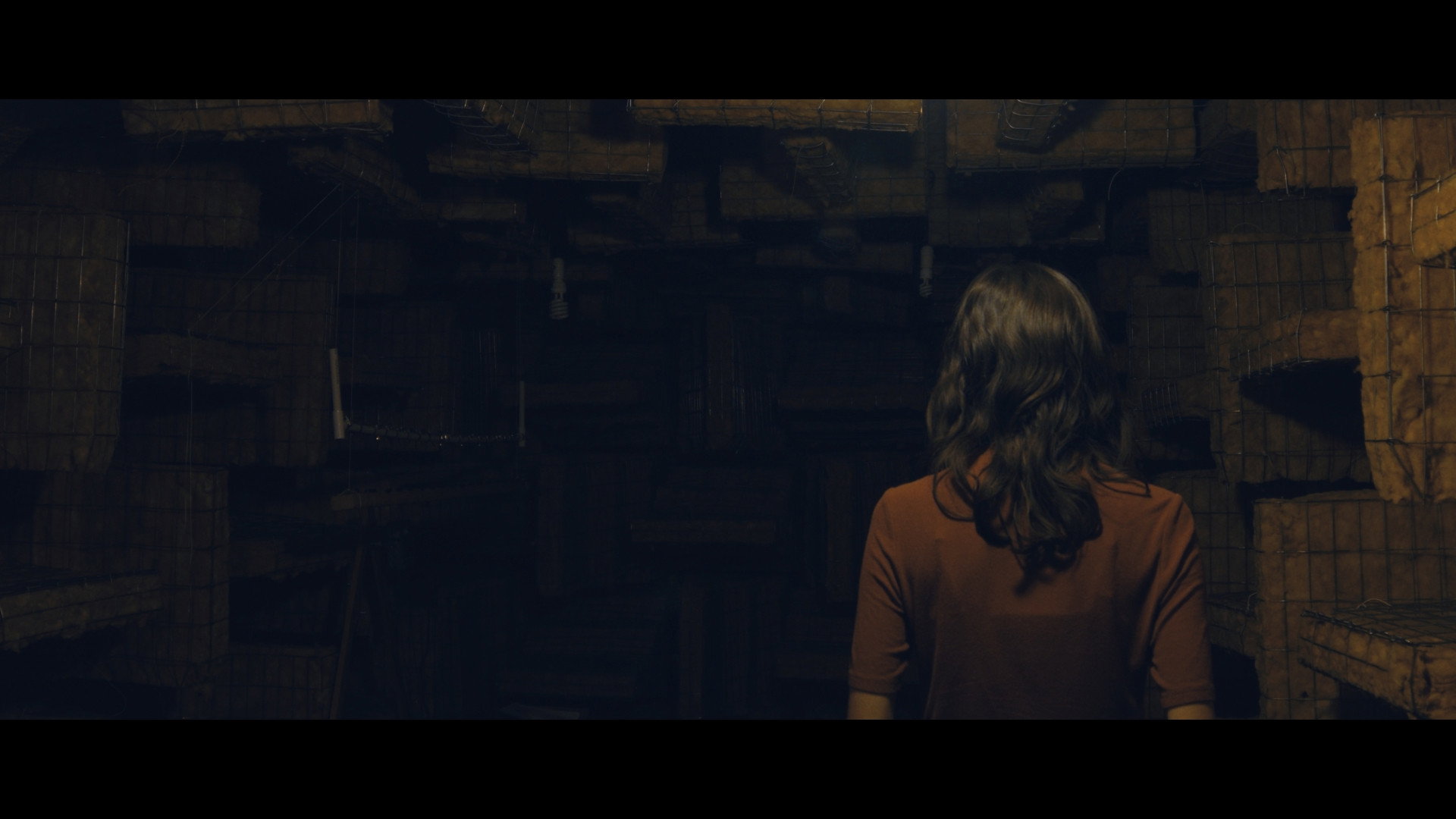 Director
