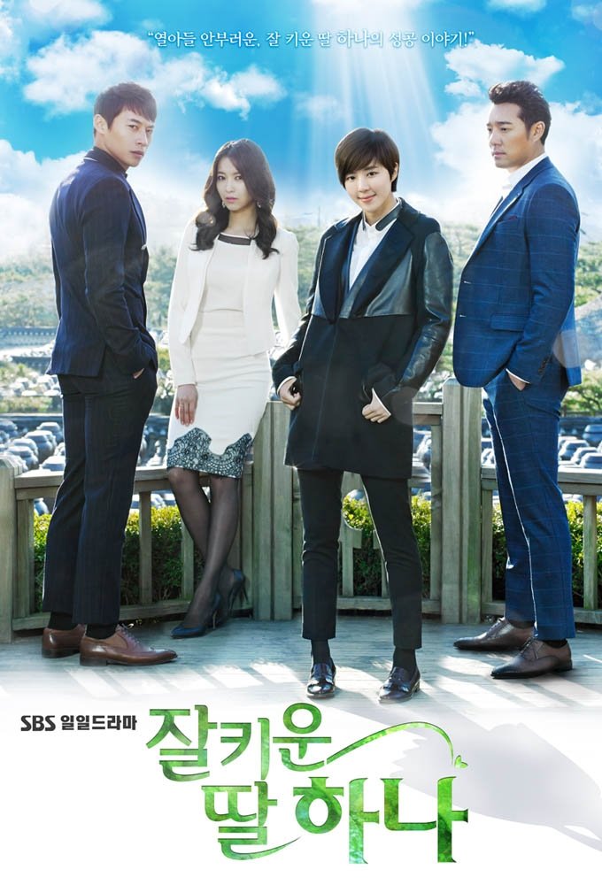 Poster de 잘 키운 딸 하나