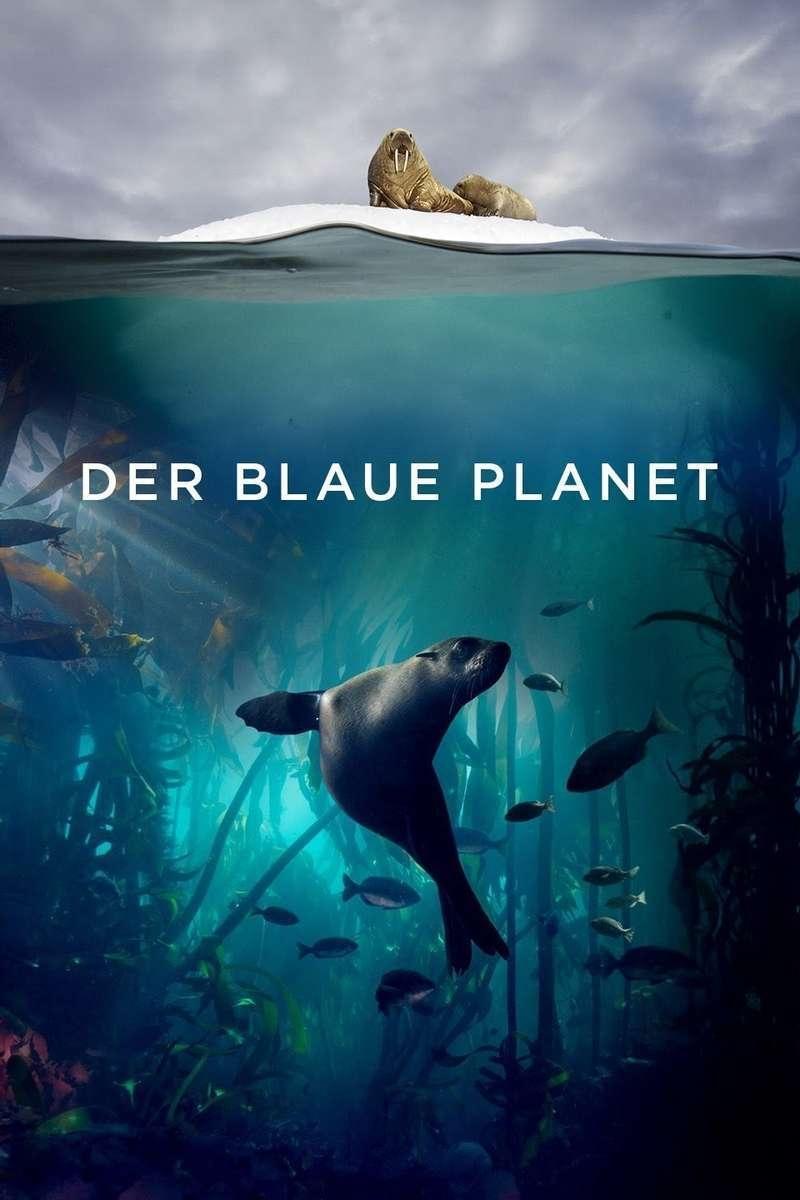 Poster de Der blaue Planet