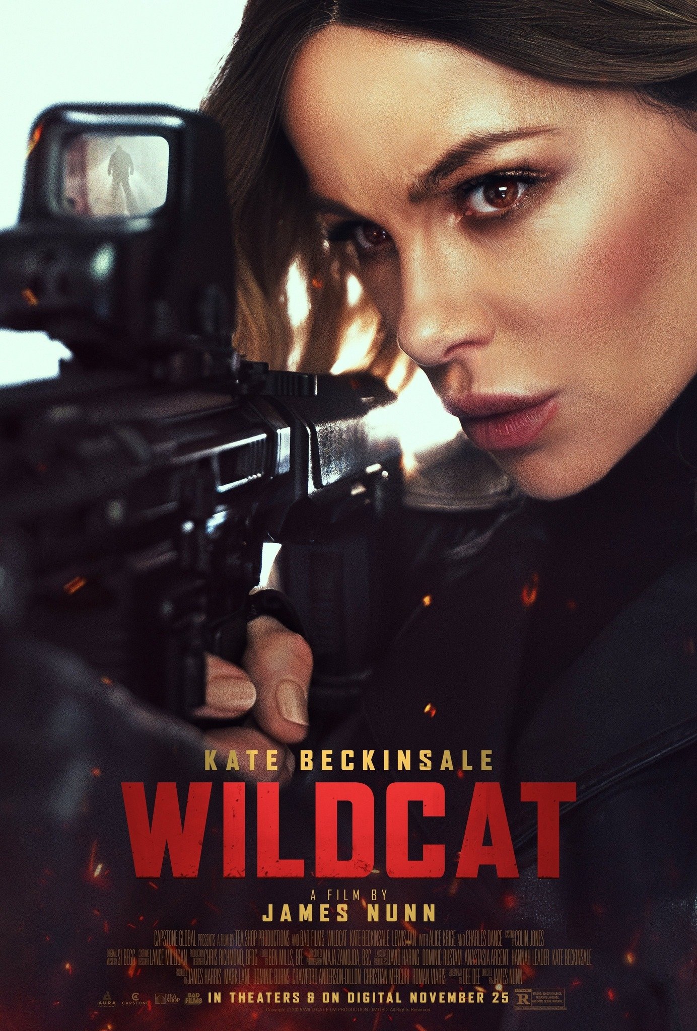 Poster de Lioness