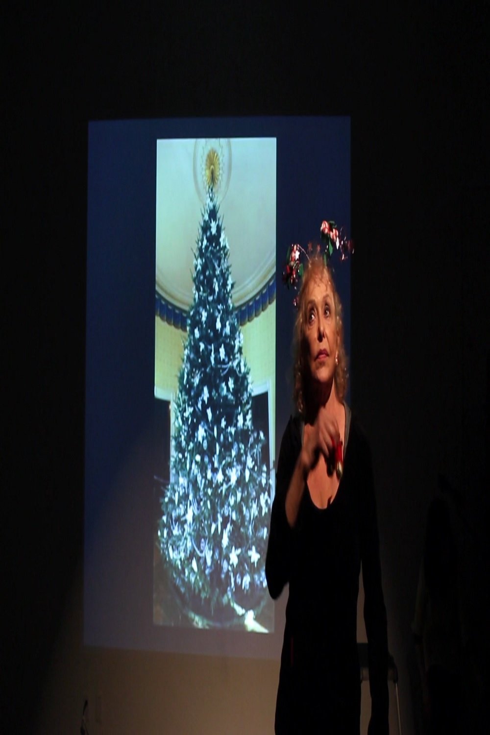 Poster de Pinea Silva: Lost Meanings of the Christmas Tree