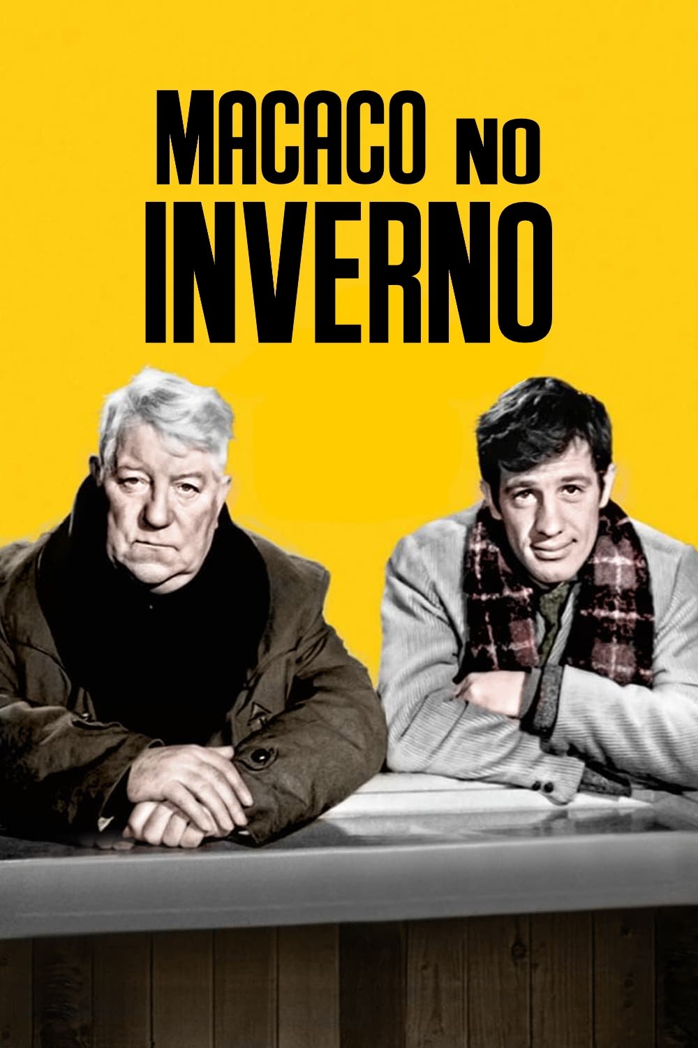 Poster de Macaco no Inverno