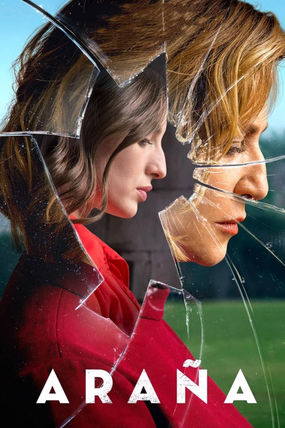 Poster de Aranha