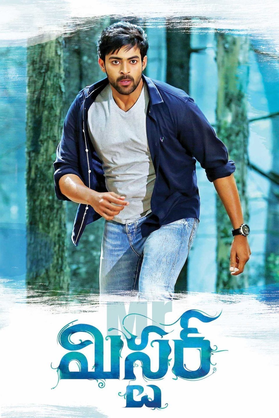 Poster de Mister
