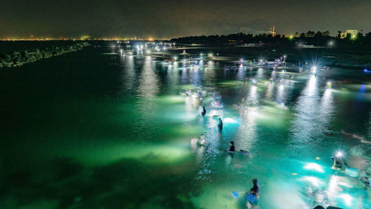 The Treasures of Toyama Bay