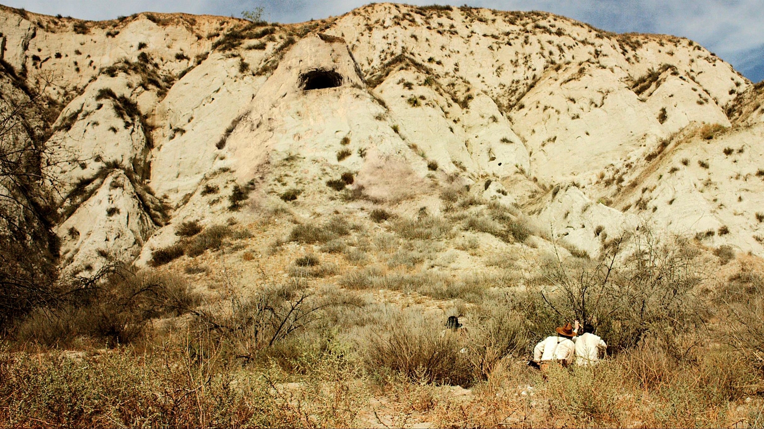 backdrops