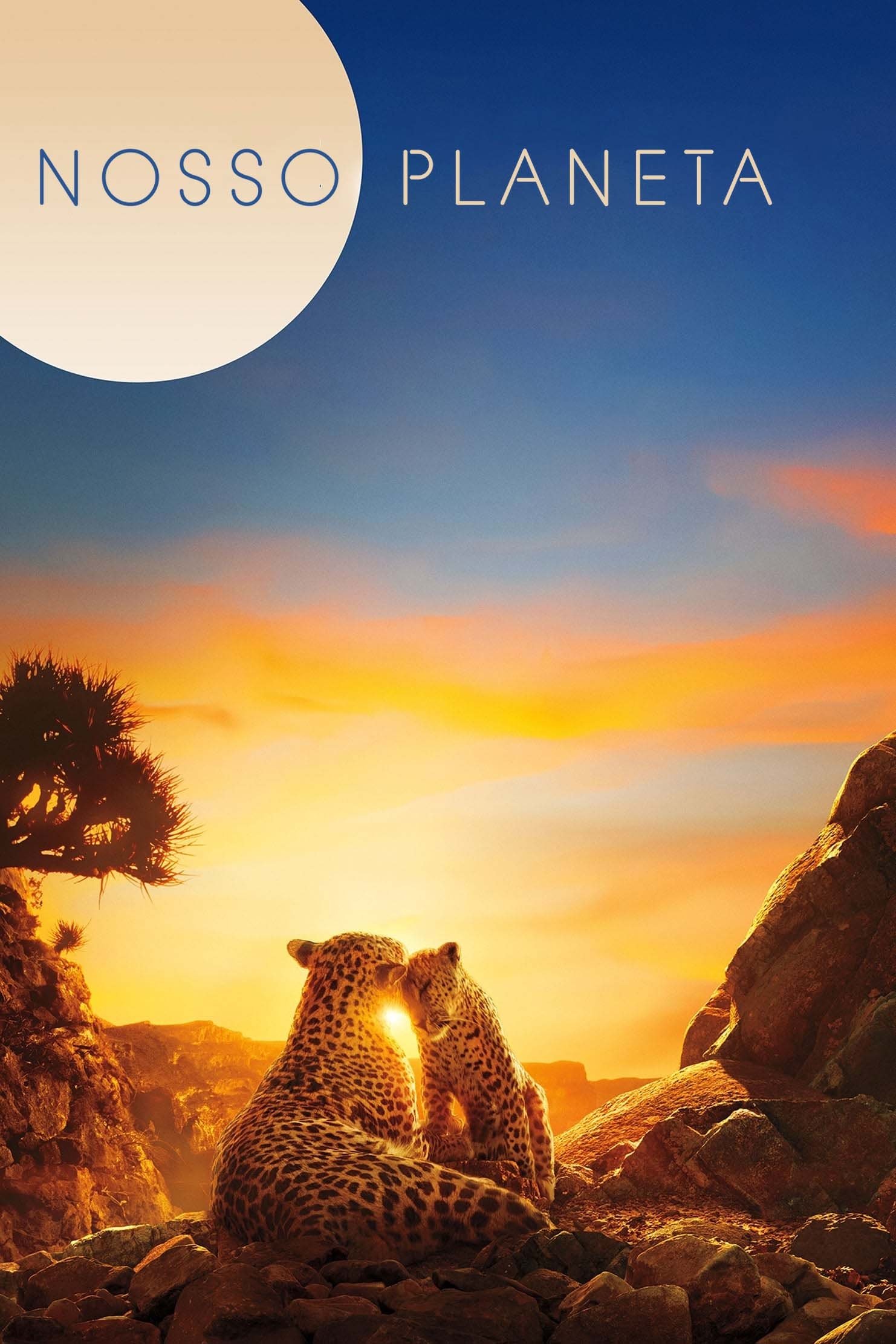 Poster de Nosso Planeta