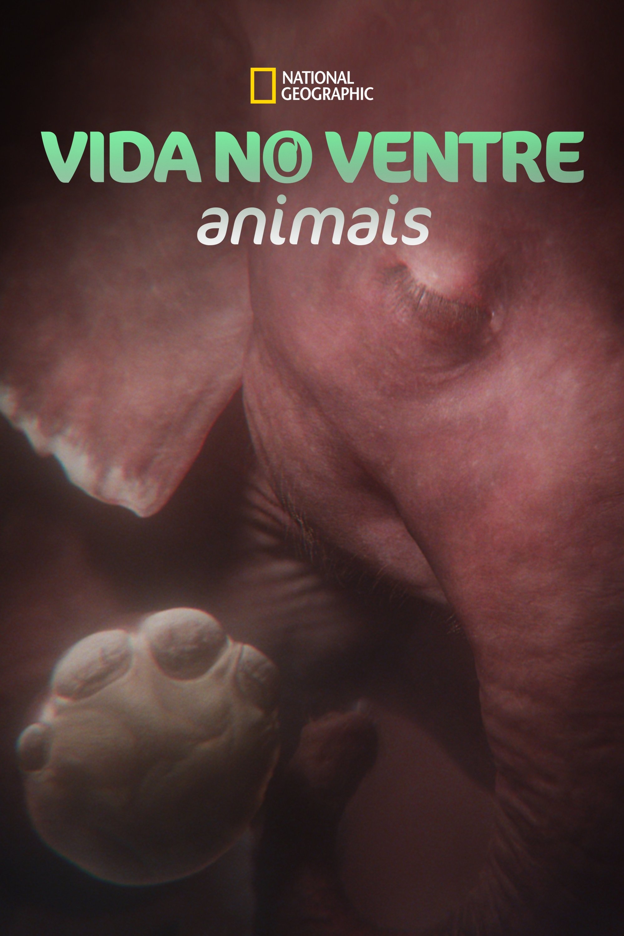 Poster de Vida no Ventre: Animais