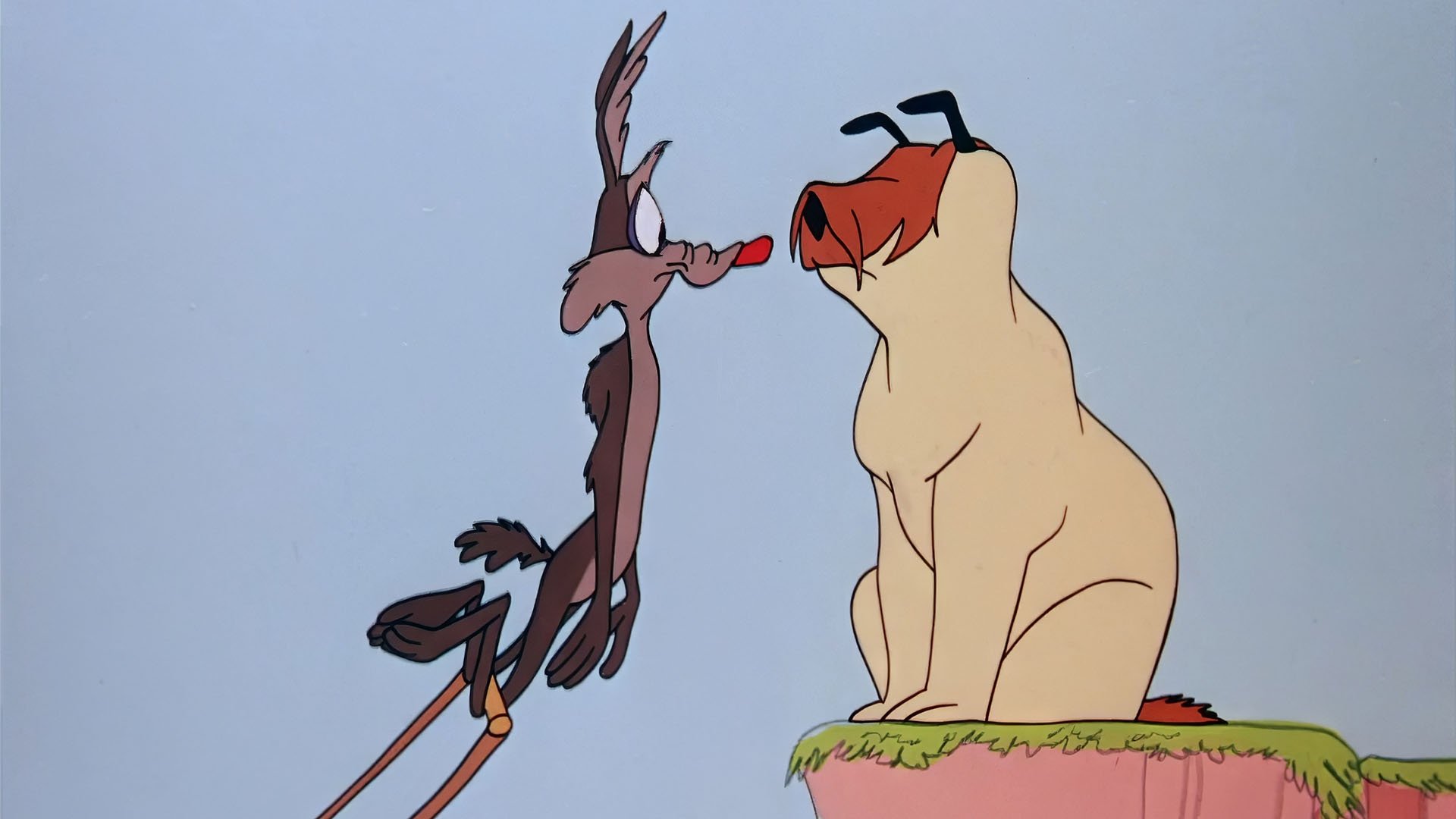 Backdrop image