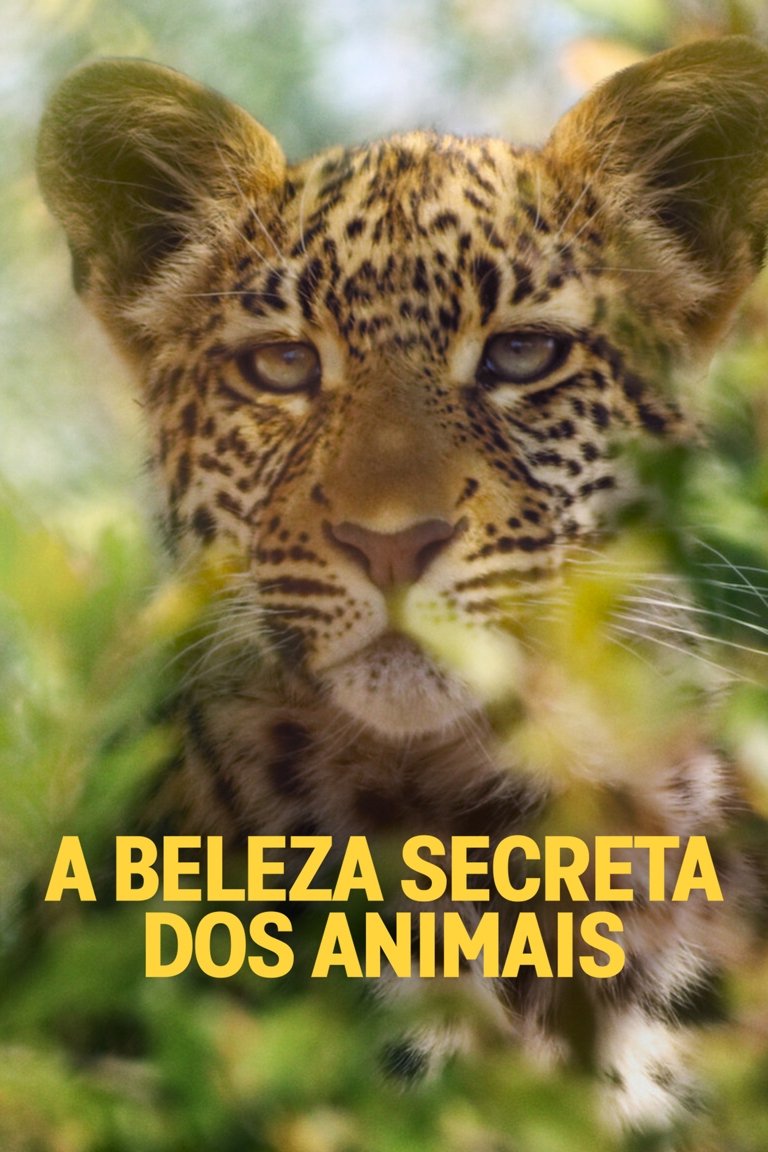 Poster de A Beleza Secreta dos Animais