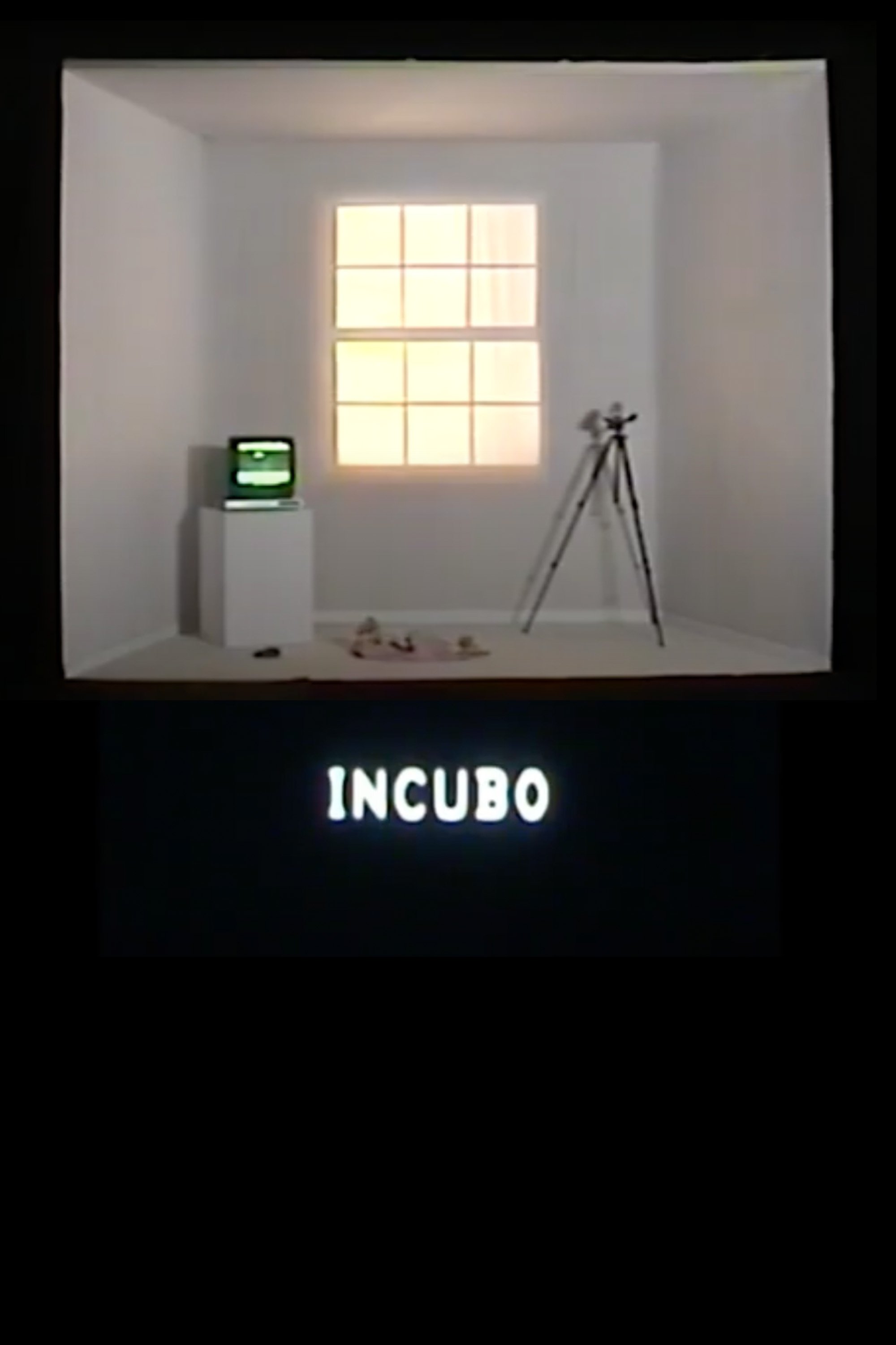 Poster de INCUBO