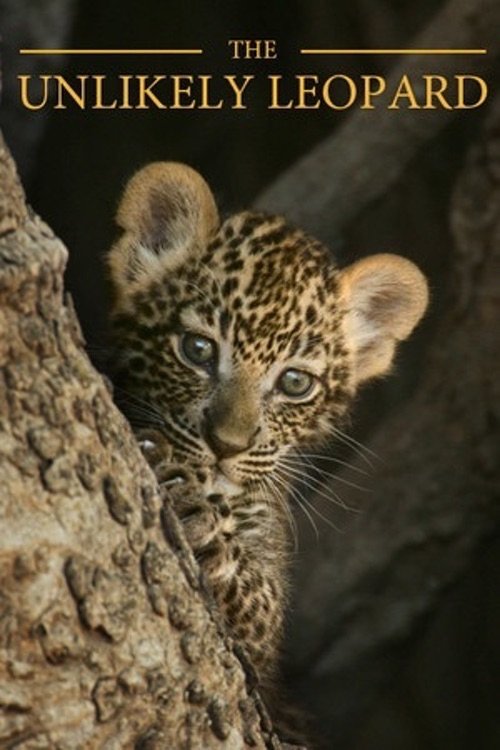 Poster de Um Leopardo Fora de Série