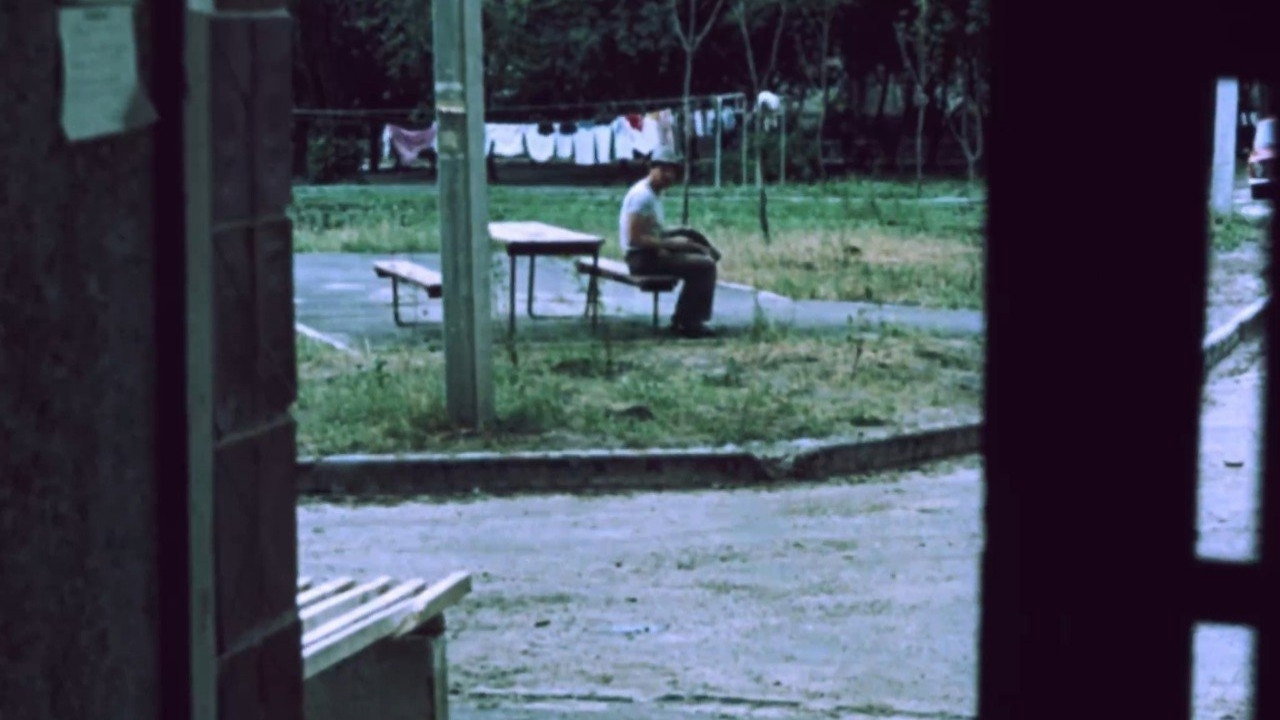 Director
