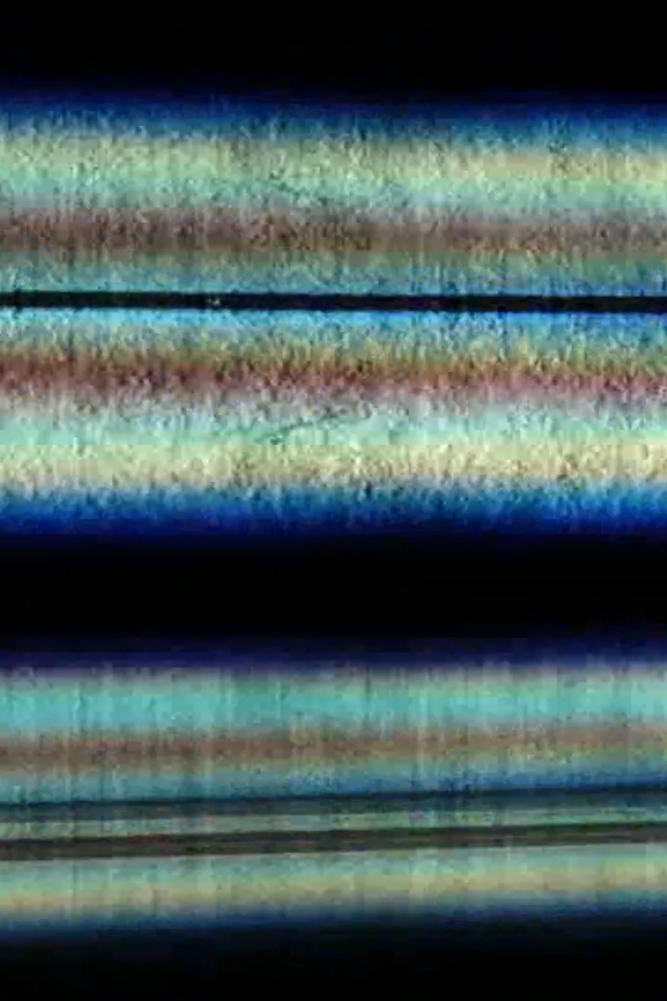 Poster de Chromaphilia