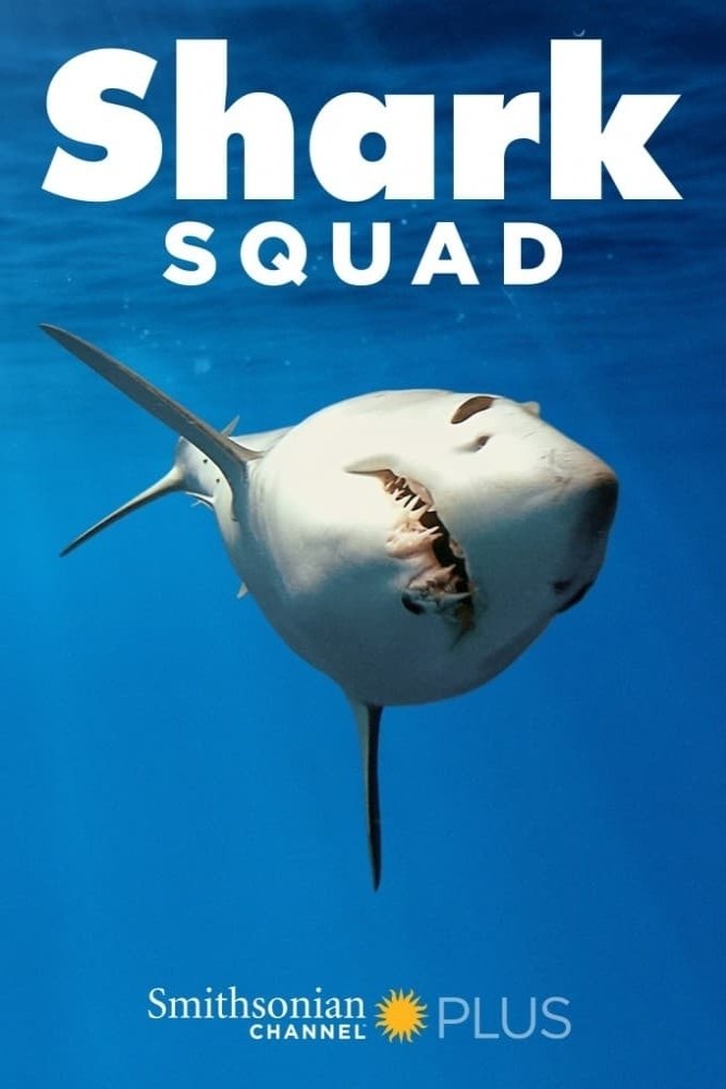Poster de Esquadrão de Tubarões