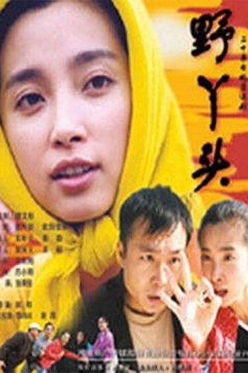 Poster de 野丫头