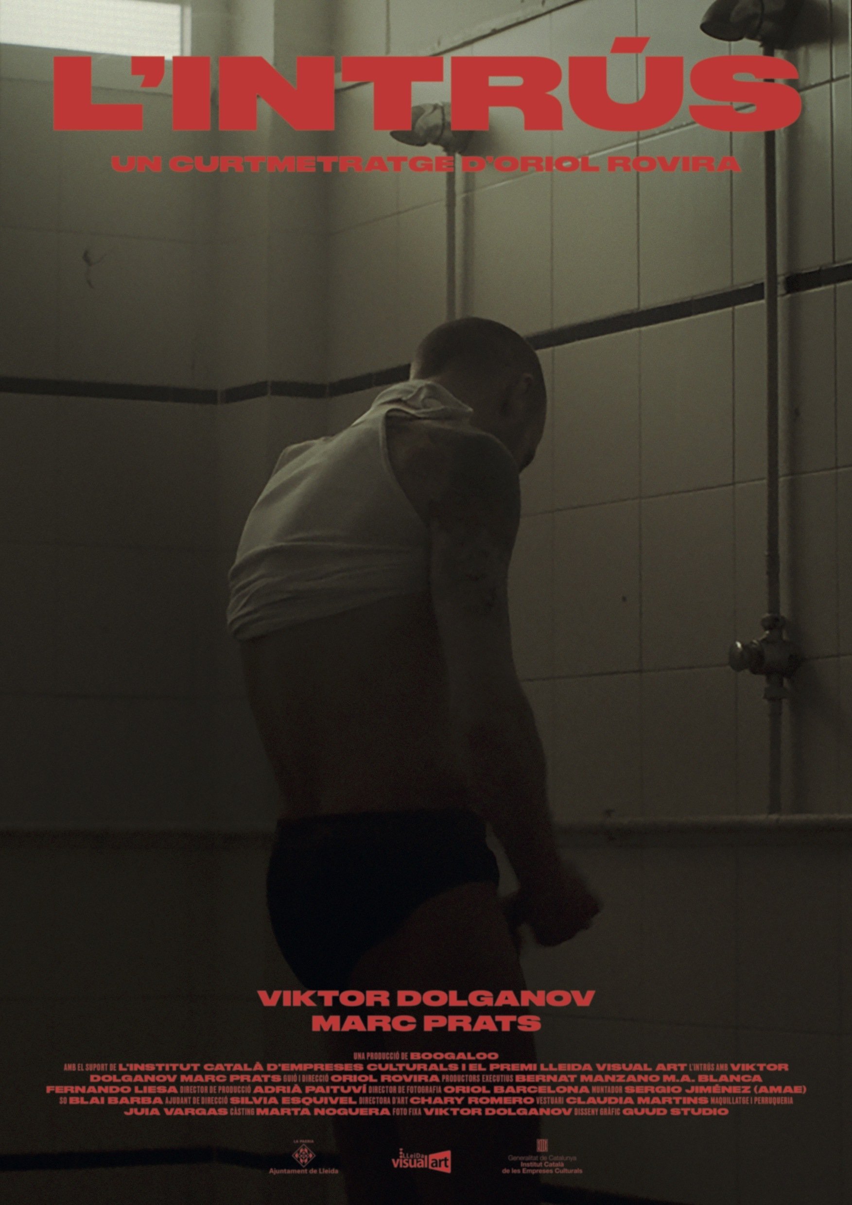 Poster de L’intrús