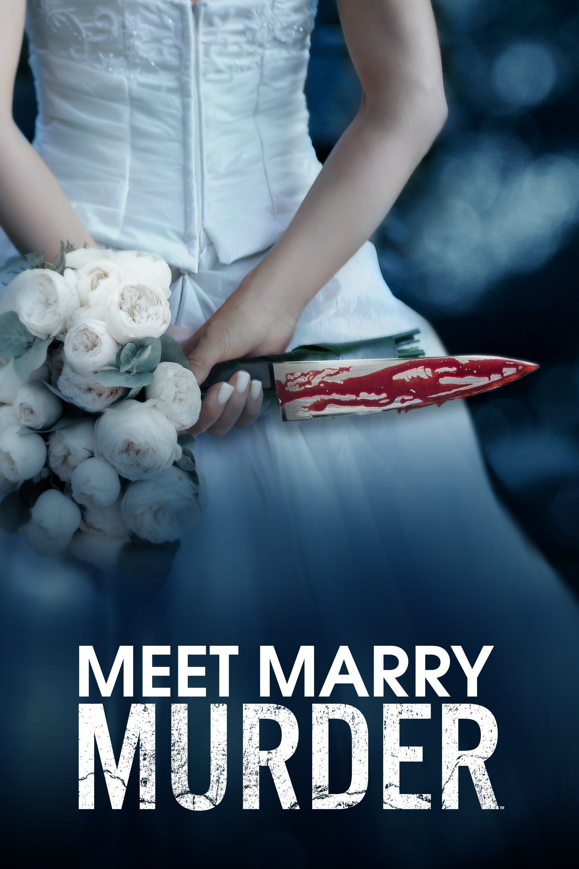 Poster de Meet Marry Murder