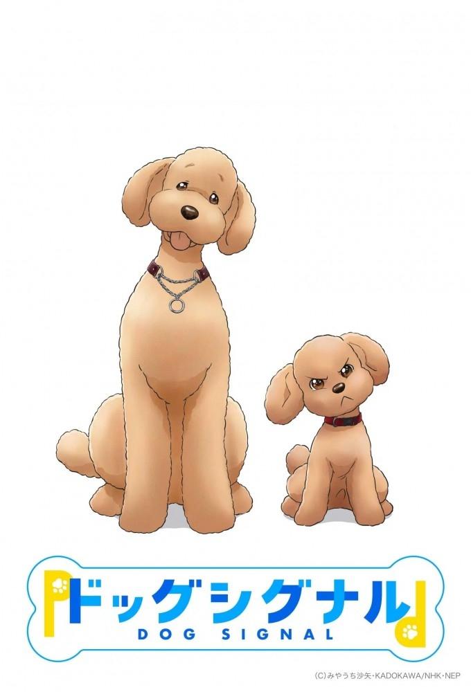 Poster de Dog Signal