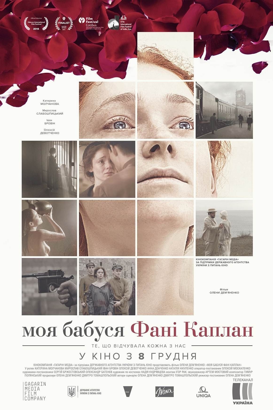Poster de Моя бабуся Фані Каплан