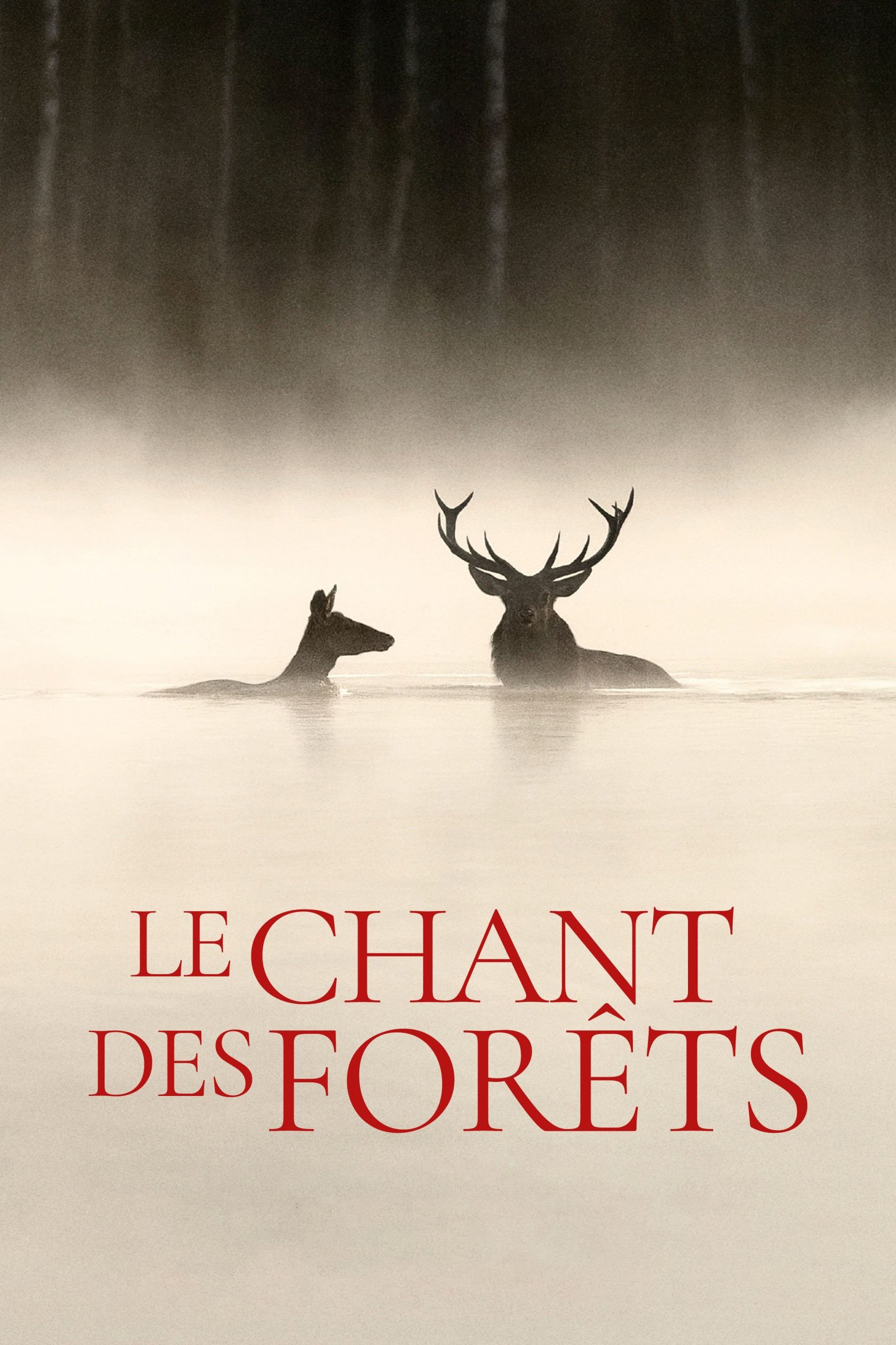 Poster de Le chant des forêts