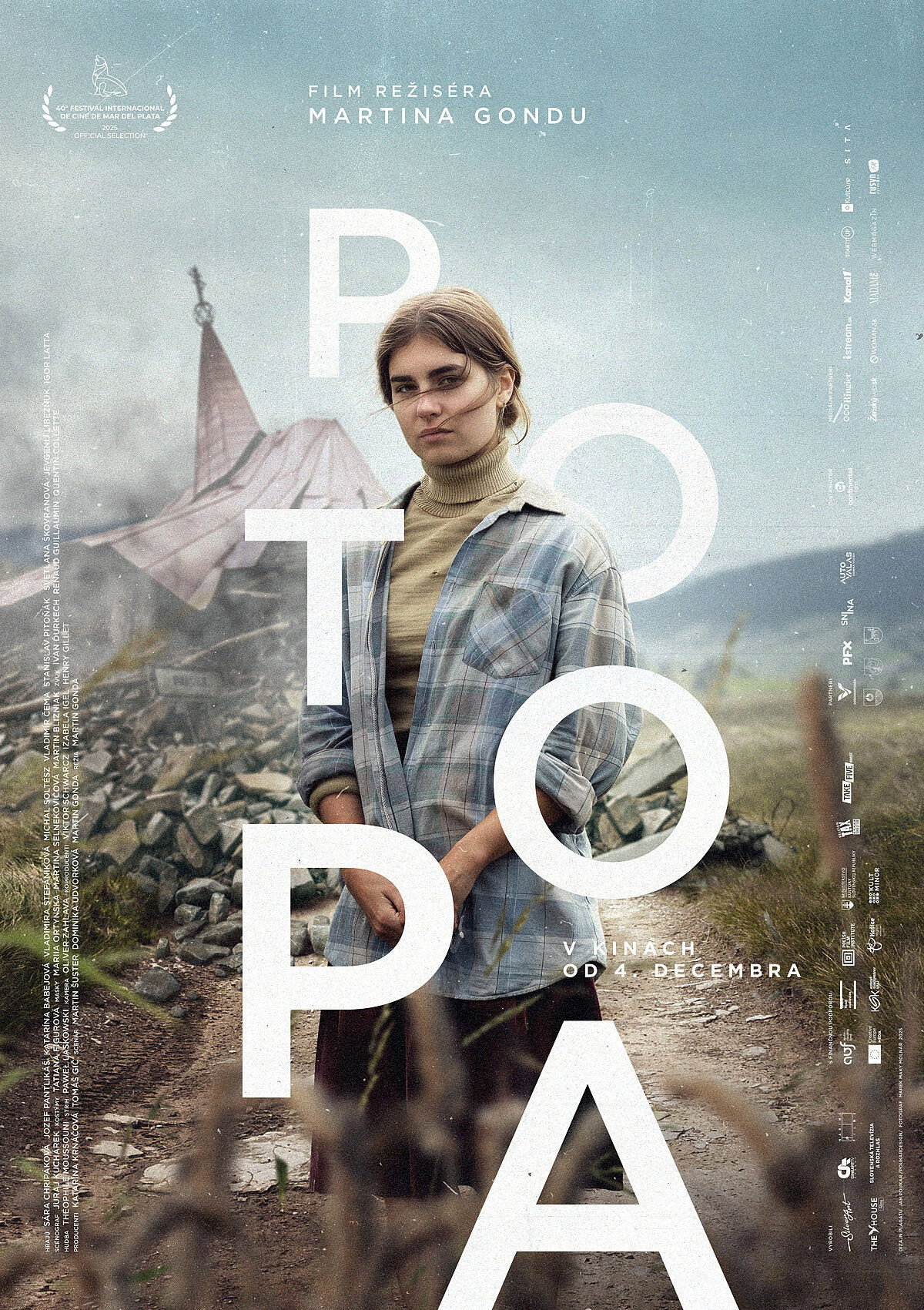 Poster de Potopa