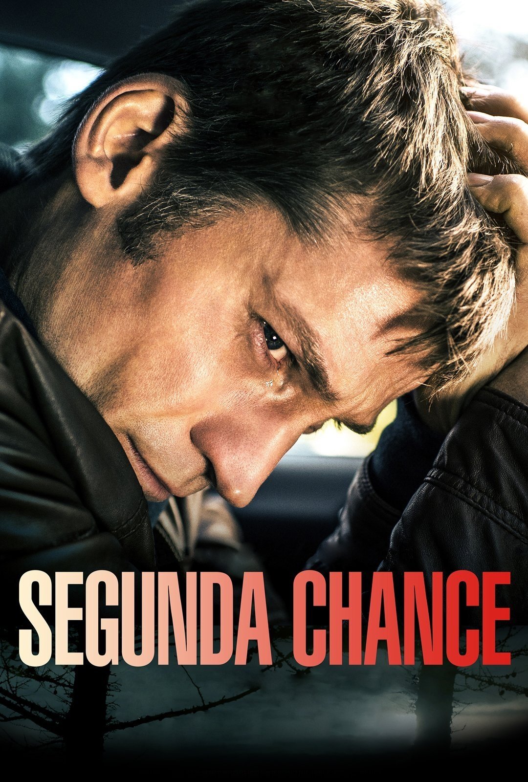 Poster de Segunda Chance