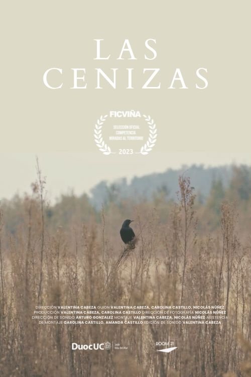Poster de Las Cenizas