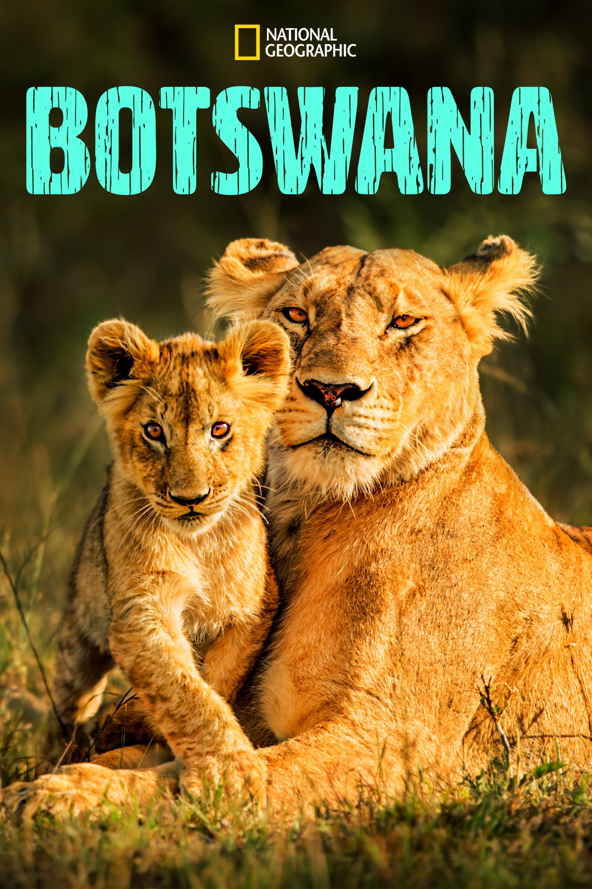 Poster de Botsuana
