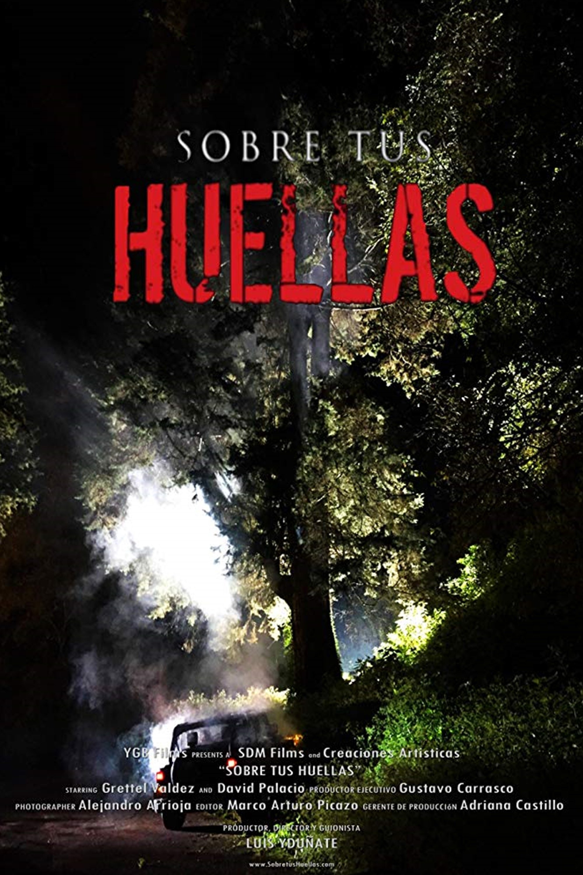 Poster de Sobre tus huellas