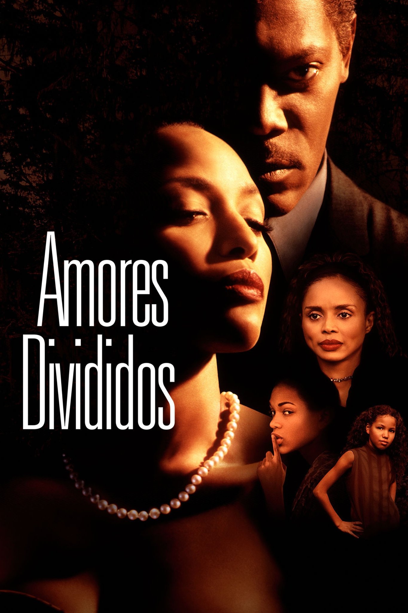 Poster de Amores Divididos