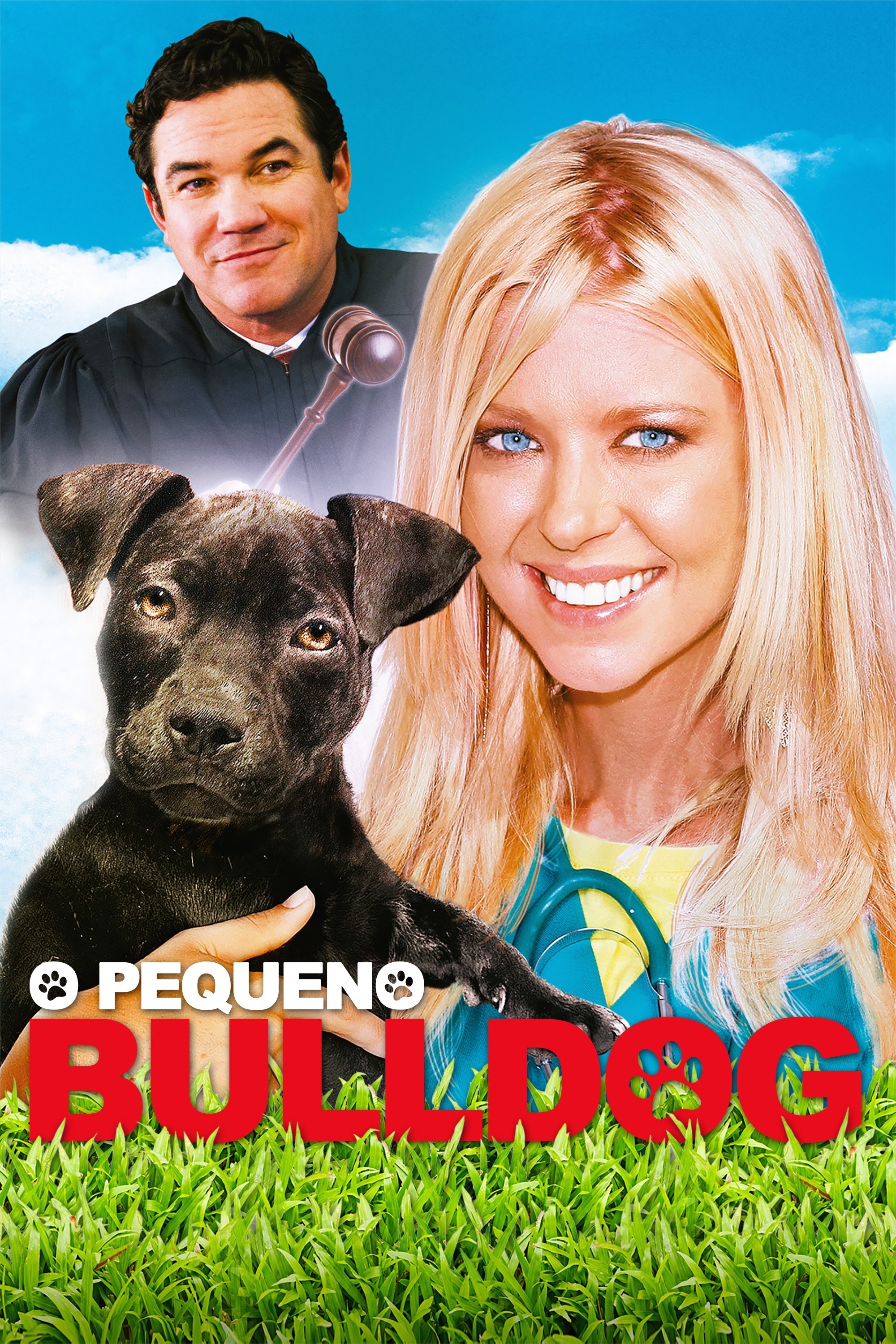 Poster de O Pequeno Bulldog