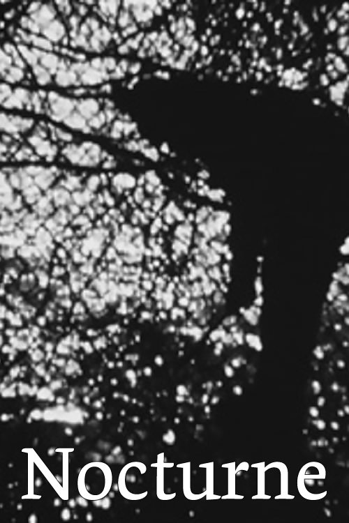 Poster for Nocturne