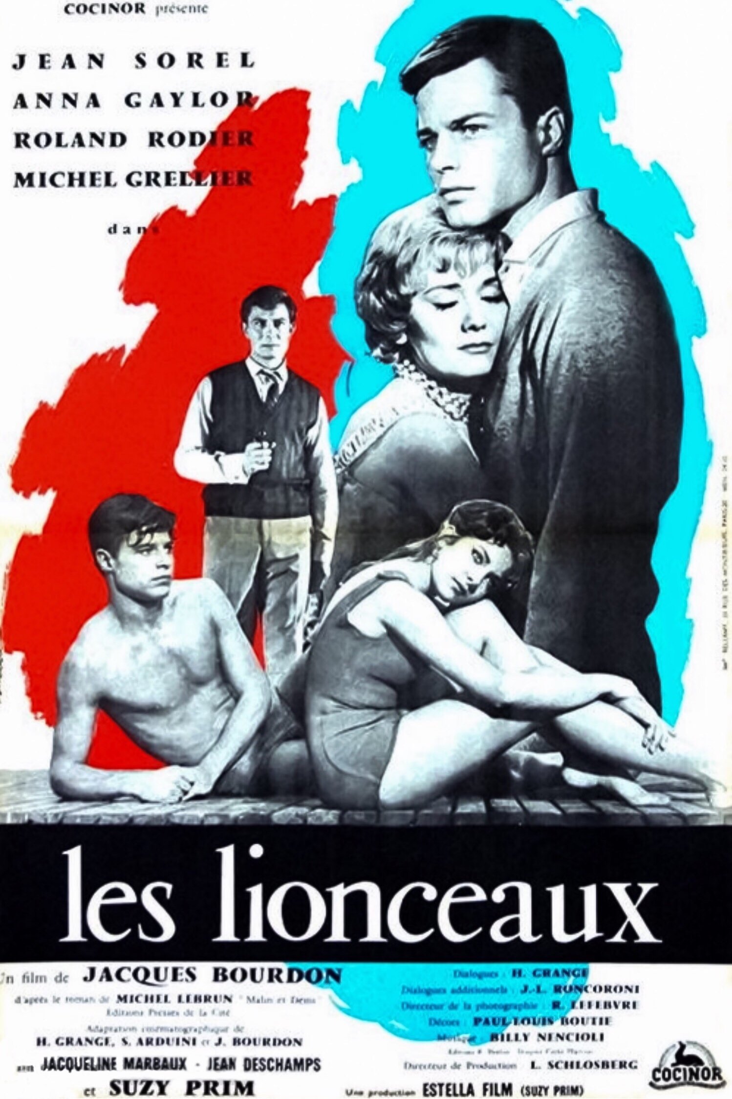 Poster de Les lionceaux