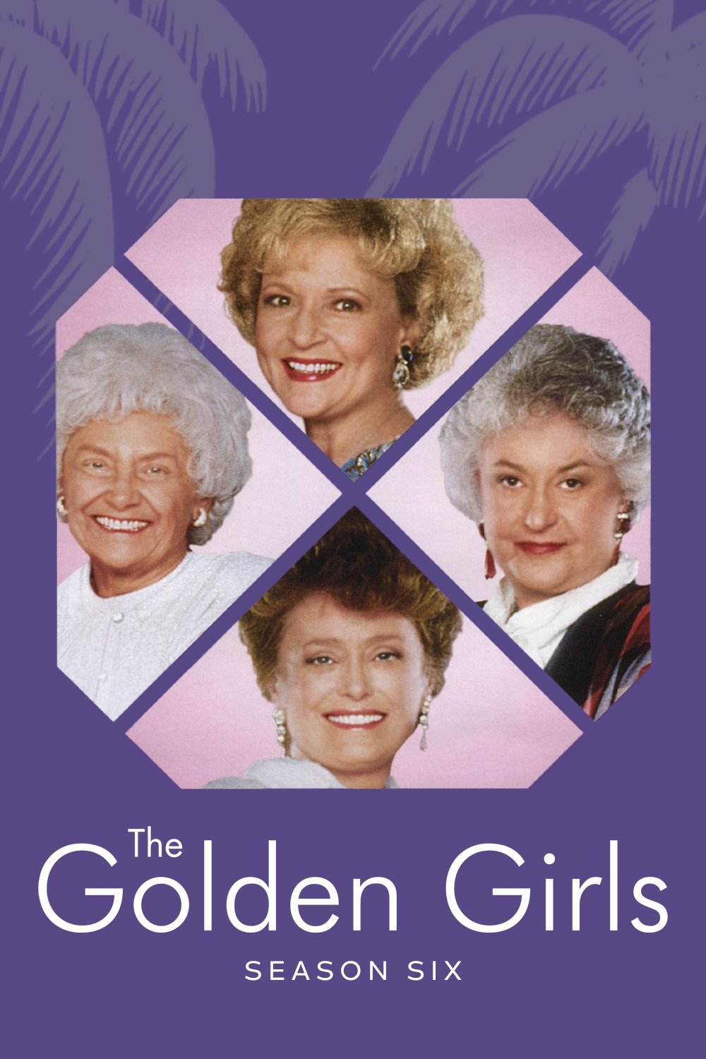 Poster de Temporada 6
