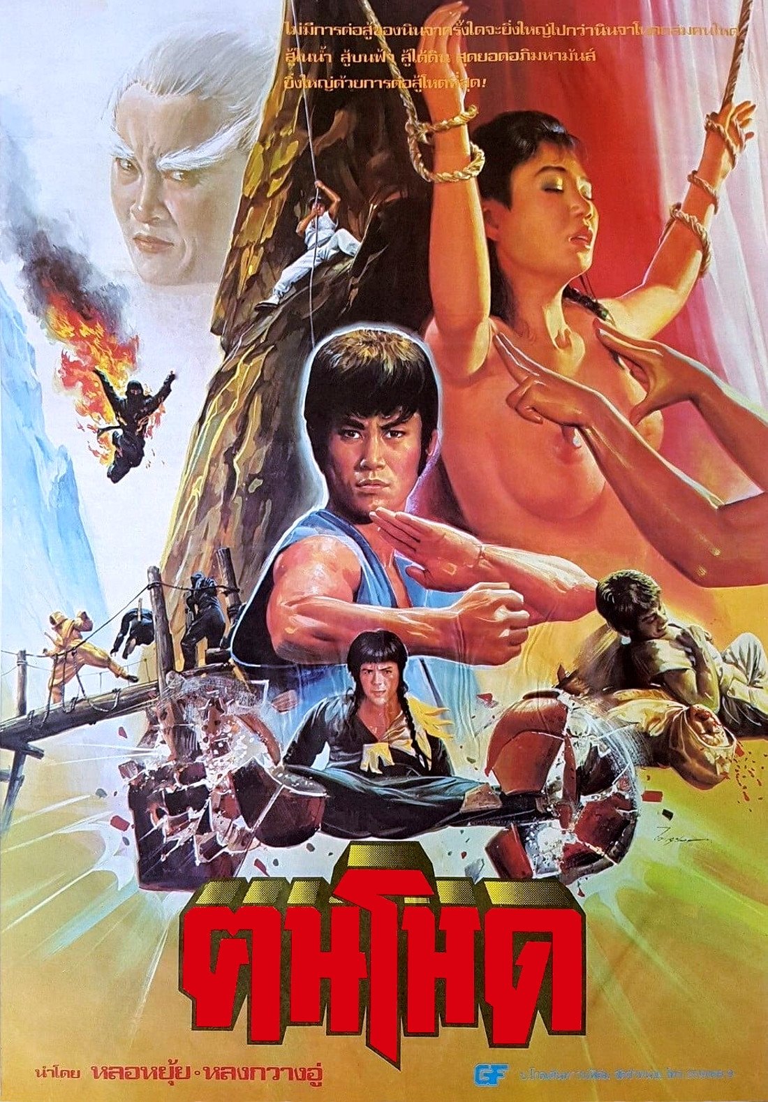 Poster de Ninja Hunter