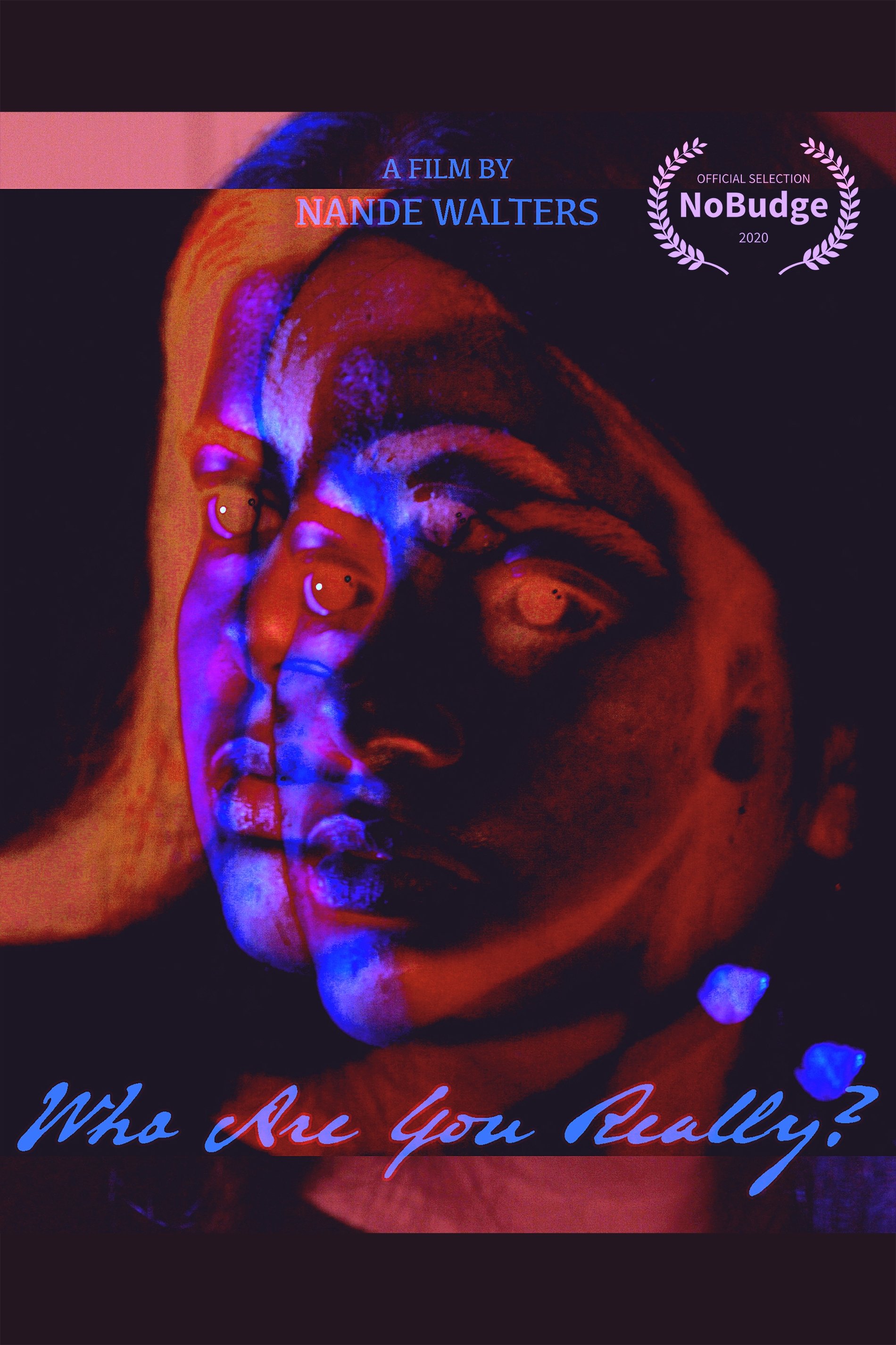 Poster de Who Are You Really?