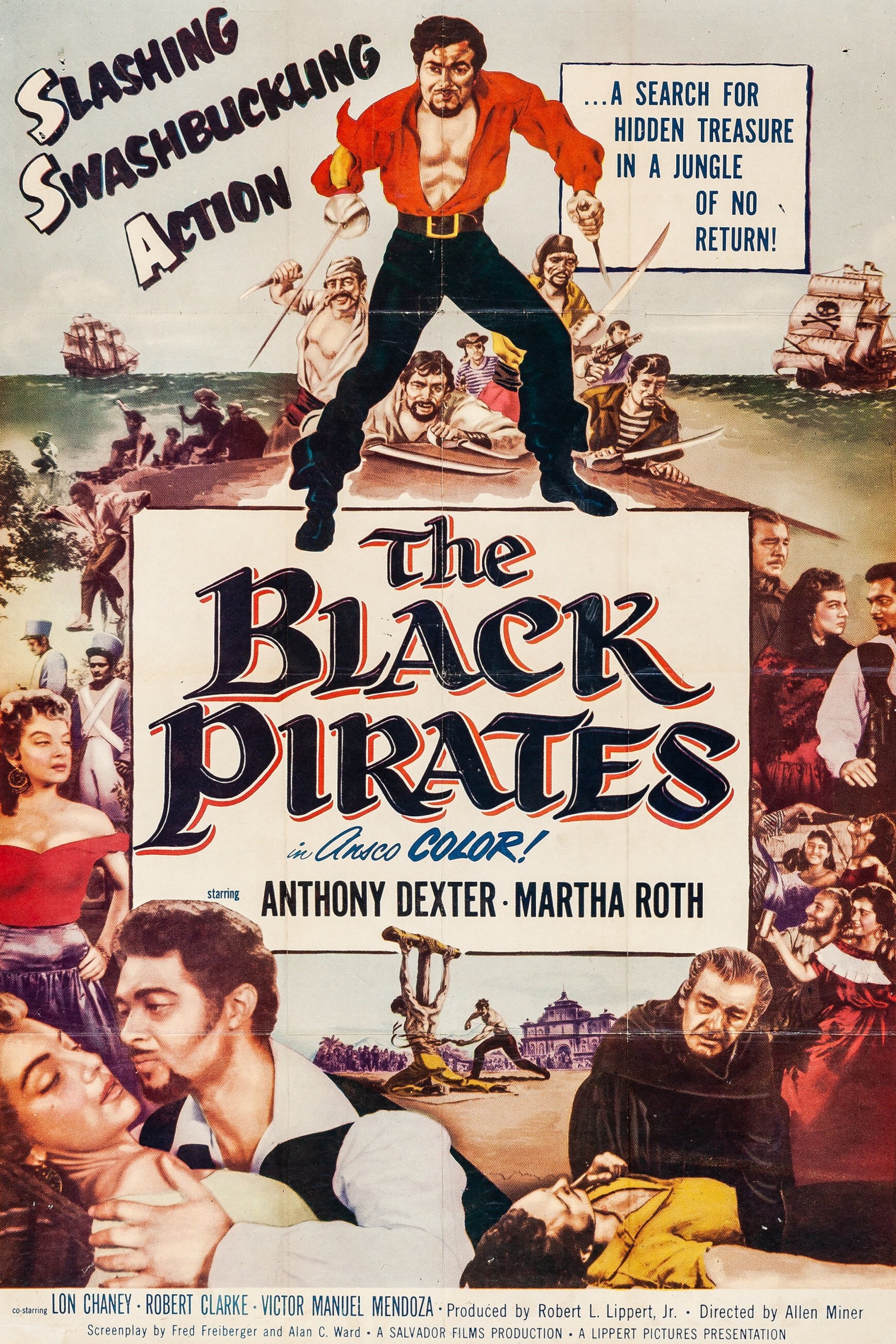 Poster de The Black Pirates