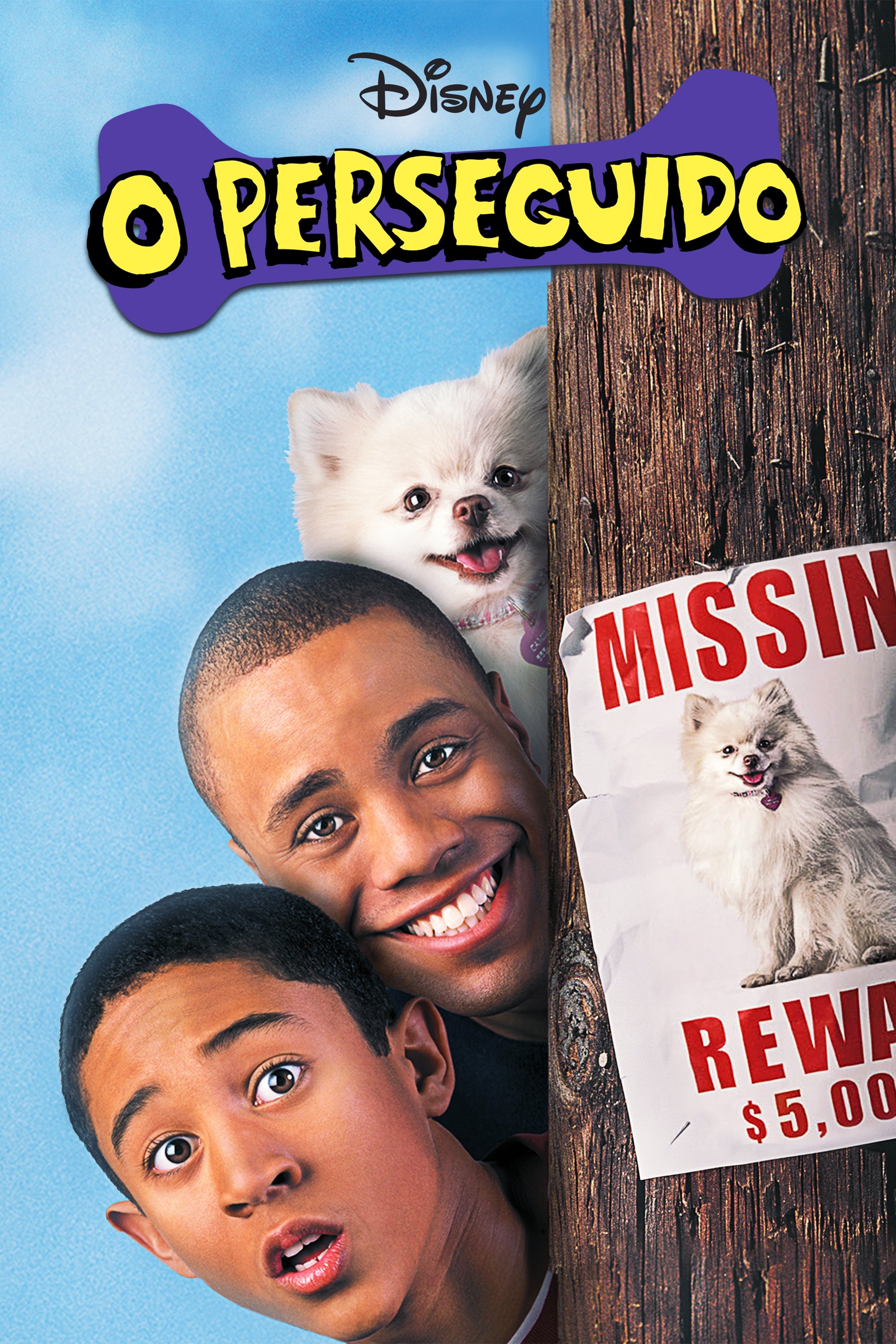 Poster de O Perseguido